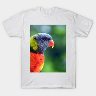 Rainbow Lorikeet T-Shirt